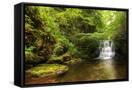 Canvas Black