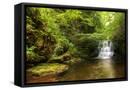 Framed Canvas