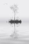 Tree on Lake Landscape Solitude Concept-Veneratio-Art Print