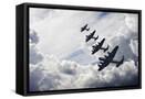 Framed Canvas