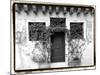 Venetian Doorways V-Laura Denardo-Mounted Photographic Print