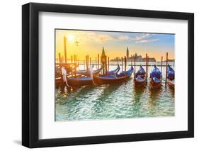 Venetian Gondolas at Sunrise, Venice, Italy-sborisov-Framed Photographic Print