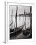 Venetian Gondolas - Drift-Bill Philip-Framed Giclee Print