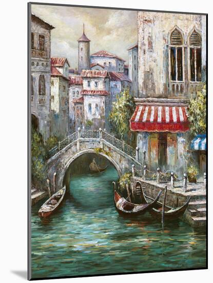 Venetian Motif I-Gianni Mancini-Mounted Art Print