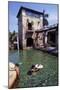 Venetian Pool, C.1985-null-Mounted Photographic Print