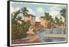 Venetian Pool, Coral Gables, Florida-null-Framed Stretched Canvas