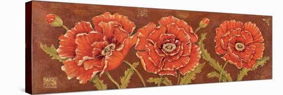 Venetian Poppies-Paul Brent-Stretched Canvas