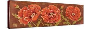 Venetian Poppies-Paul Brent-Stretched Canvas