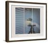 Venetian Reflection-Jack Radetsky-Framed Limited Edition