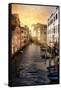 Venetian Sunlight - Between the buildings of Venice-Philippe HUGONNARD-Framed Stretched Canvas