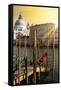 Venetian Sunlight - Gondola Pier-Philippe HUGONNARD-Framed Stretched Canvas