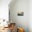 Venetian Sunlight - Gondola Piers-Philippe HUGONNARD-Photographic Print displayed on a wall