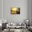 Venetian Sunlight - Grand Canal Golden Sunset-Philippe HUGONNARD-Framed Stretched Canvas displayed on a wall