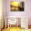 Venetian Sunlight - Grand Canal Golden Sunset-Philippe HUGONNARD-Stretched Canvas displayed on a wall