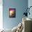 Venetian Sunlight - Pink Sunset-Philippe HUGONNARD-Framed Stretched Canvas displayed on a wall