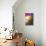 Venetian Sunlight - Pink Sunset-Philippe HUGONNARD-Stretched Canvas displayed on a wall