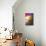 Venetian Sunlight - Pink Sunset-Philippe HUGONNARD-Mounted Photographic Print displayed on a wall