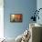 Venetian Sunlight - Rio de le Do Torre-Philippe HUGONNARD-Framed Stretched Canvas displayed on a wall