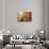 Venetian Sunlight - Rio de le Do Torre-Philippe HUGONNARD-Photographic Print displayed on a wall