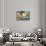 Venetian Sunlight - The Grand Canal-Philippe HUGONNARD-Stretched Canvas displayed on a wall