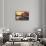 Venetian Sunlight - Vaporetto Sunset-Philippe HUGONNARD-Framed Stretched Canvas displayed on a wall