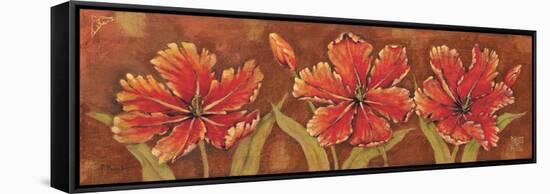 Venetian Tulips-Paul Brent-Framed Stretched Canvas