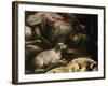 Venetians Defeating Maximilian I in Cadore in 1508-Francesco Bassano-Framed Giclee Print