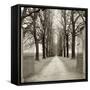 Veneto Giardini I-Alan Blaustein-Framed Stretched Canvas