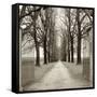 Veneto Giardini I-Alan Blaustein-Framed Stretched Canvas