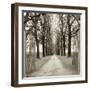 Veneto Giardini I-Alan Blaustein-Framed Photographic Print