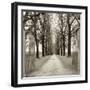 Veneto Giardini I-Alan Blaustein-Framed Photographic Print