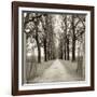 Veneto Giardini I-Alan Blaustein-Framed Photographic Print