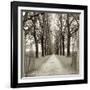 Veneto Giardini I-Alan Blaustein-Framed Photographic Print