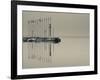 Veneto, Lake District, Lake Garda, Garda, Lakeside Pier and Lighthouse, Italy-Walter Bibikow-Framed Photographic Print