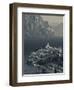 Veneto, Lake District, Lake Garda, Malcesine, Aerial Town View, Italy-Walter Bibikow-Framed Photographic Print