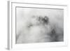 Veneto Mystically in the Fog, Aerial Picture, Cemetery, Ground Fog, Bassano, Italy-Frank Fleischmann-Framed Photographic Print