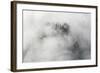 Veneto Mystically in the Fog, Aerial Picture, Cemetery, Ground Fog, Bassano, Italy-Frank Fleischmann-Framed Photographic Print