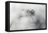 Veneto Mystically in the Fog, Aerial Picture, Cemetery, Ground Fog, Bassano, Italy-Frank Fleischmann-Framed Stretched Canvas