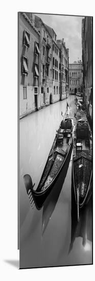 Venezia Pano 6-1-Moises Levy-Mounted Giclee Print