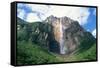 Venezuela Angel Falls, the World's Tallest Waterfall-Adrian Warren-Framed Stretched Canvas