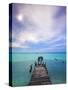 Venezuela, Archipelago Los Roques National Park, Madrisque Island, Pelicans on Pier-Jane Sweeney-Stretched Canvas