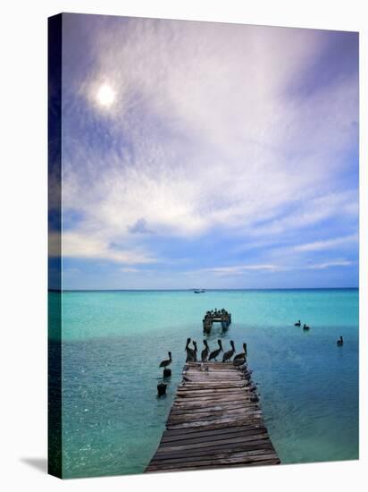 Venezuela, Archipelago Los Roques National Park, Madrisque Island, Pelicans on Pier-Jane Sweeney-Stretched Canvas