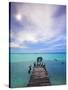 Venezuela, Archipelago Los Roques National Park, Madrisque Island, Pelicans on Pier-Jane Sweeney-Stretched Canvas