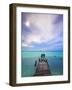Venezuela, Archipelago Los Roques National Park, Madrisque Island, Pelicans on Pier-Jane Sweeney-Framed Photographic Print