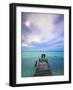 Venezuela, Archipelago Los Roques National Park, Madrisque Island, Pelicans on Pier-Jane Sweeney-Framed Photographic Print