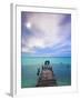 Venezuela, Archipelago Los Roques National Park, Madrisque Island, Pelicans on Pier-Jane Sweeney-Framed Photographic Print