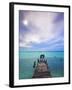 Venezuela, Archipelago Los Roques National Park, Madrisque Island, Pelicans on Pier-Jane Sweeney-Framed Photographic Print