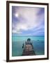 Venezuela, Archipelago Los Roques National Park, Madrisque Island, Pelicans on Pier-Jane Sweeney-Framed Photographic Print