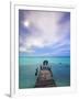 Venezuela, Archipelago Los Roques National Park, Madrisque Island, Pelicans on Pier-Jane Sweeney-Framed Photographic Print