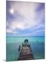 Venezuela, Archipelago Los Roques National Park, Madrisque Island, Pelicans on Pier-Jane Sweeney-Mounted Photographic Print